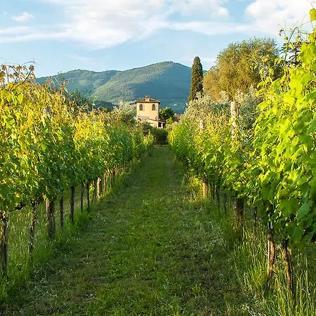 Villa Il Paradisino-2